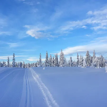 Cozy In With Kitchen Casa vacanze Sjusjoen